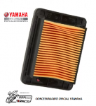 ELEMENTO FILTRO DE AIRE YAMAHA MT 03 - YZF R3 ORIGINAL